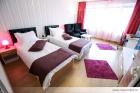 Park Studio - Cismigiu Garden - Accommodation inBucharest